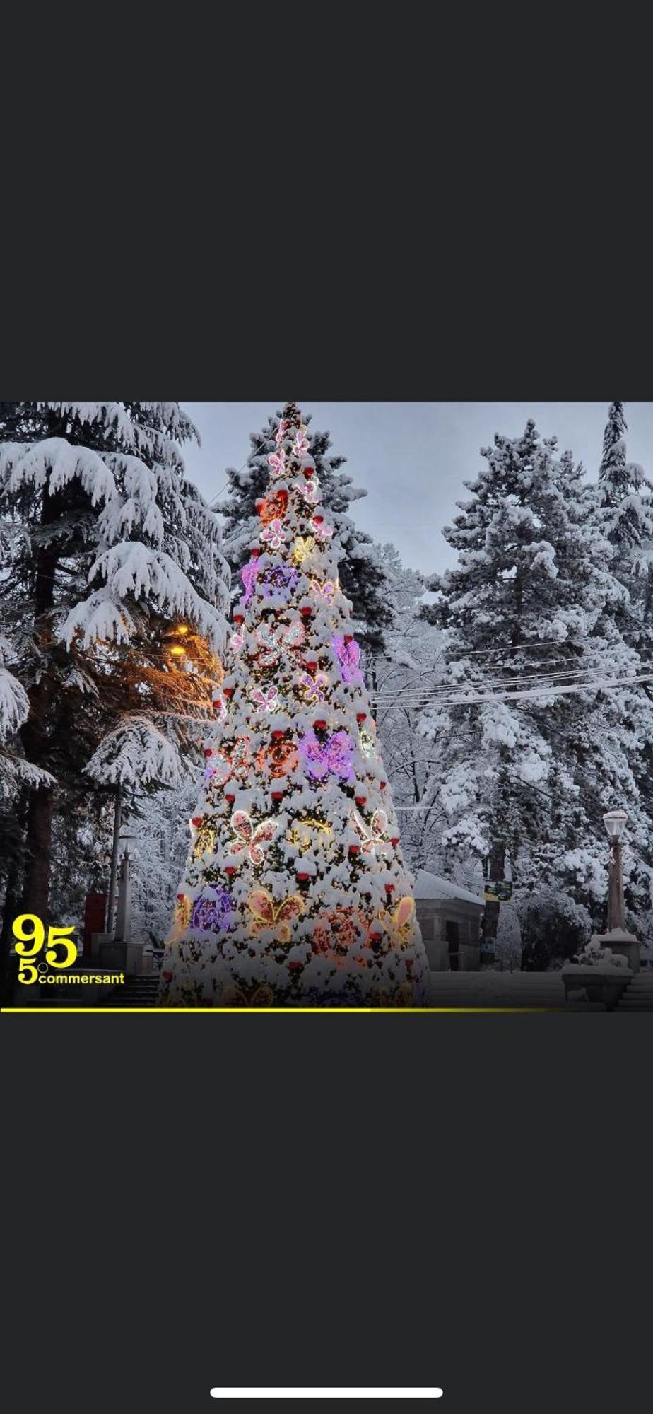 Lizielene Borjomi Exterior foto